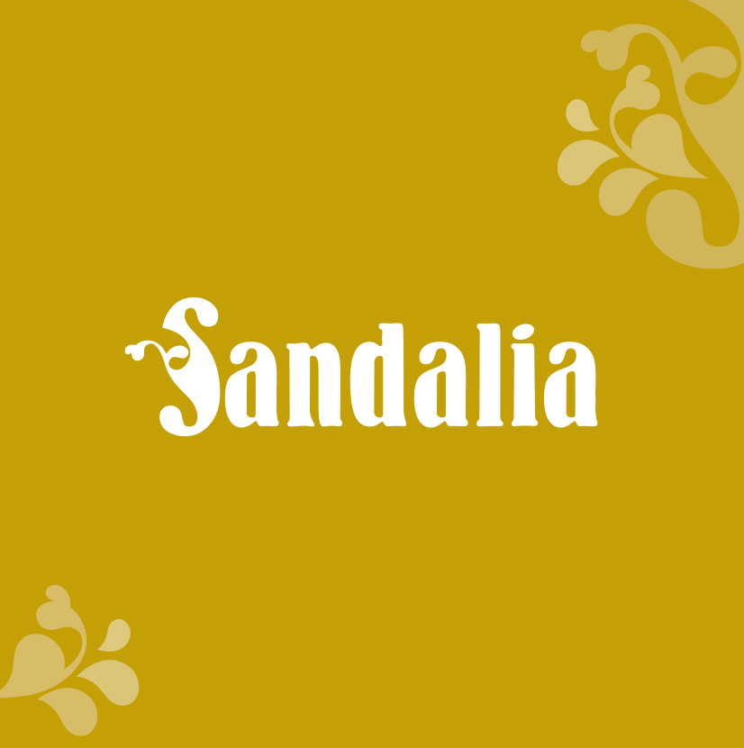 Sandalia Portfolio